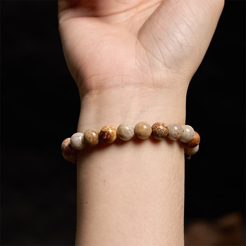Stone of buddha Fossil Coral Compassion Bracelet