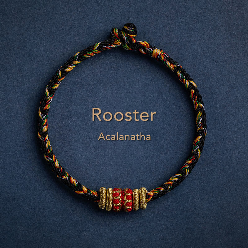 Stone of buddha Tibet Handmade Chinese Zodiac Natal Buddha Luck Strength Braided String Bracelet
