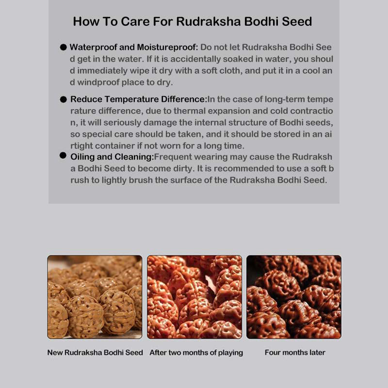 Stone of buddha Tibet Rudraksha Bodhi Seed Wealth Auspiciousness Bracelet