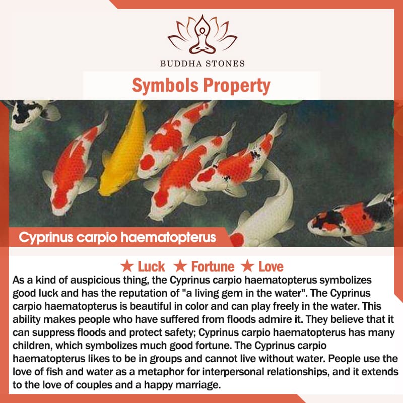 Stone of buddha FengShui Jade Koi Fortune Earrings